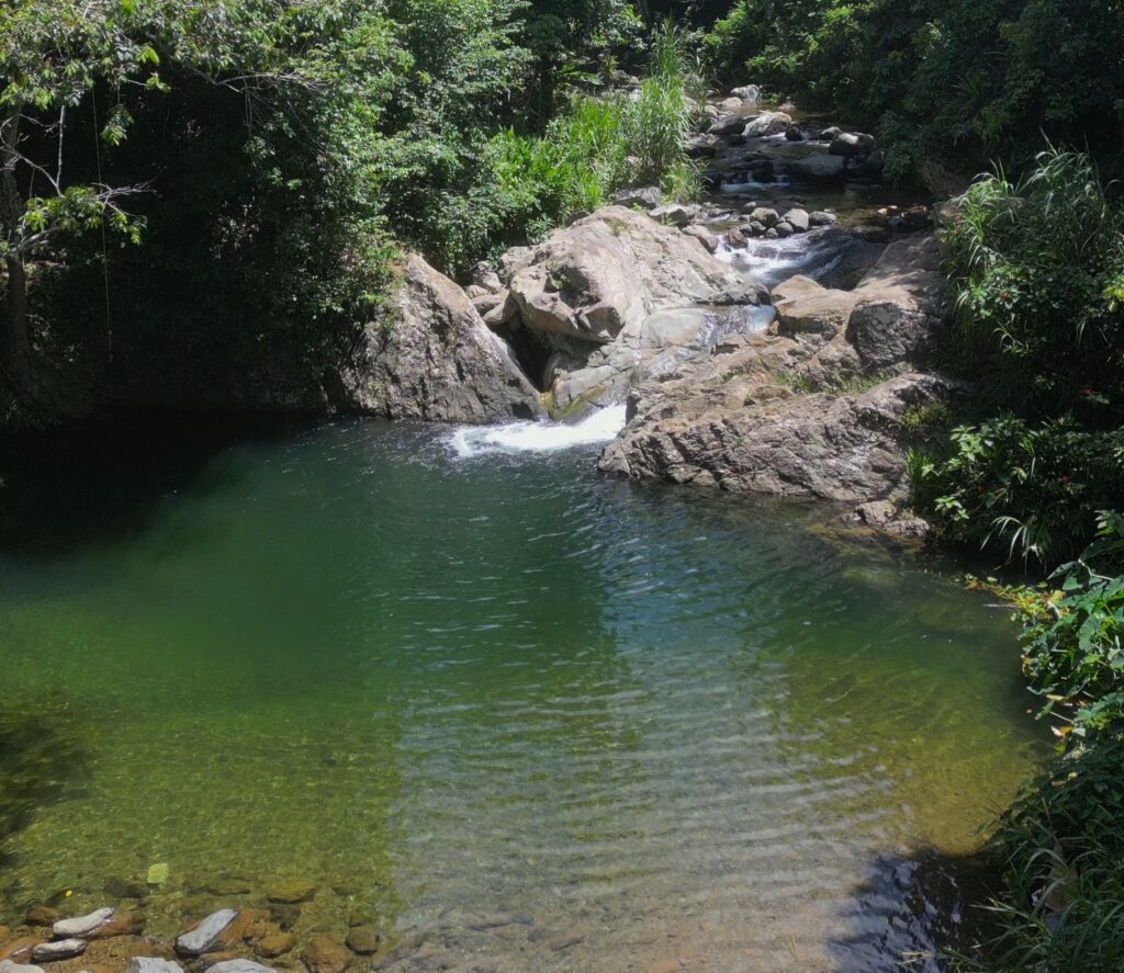 Charco El Mangó | Puerto Rico