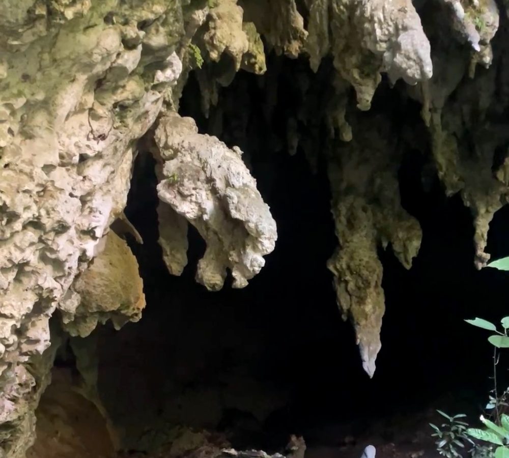 Cueva-el-Arco